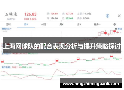 上海网球队的配合表现分析与提升策略探讨