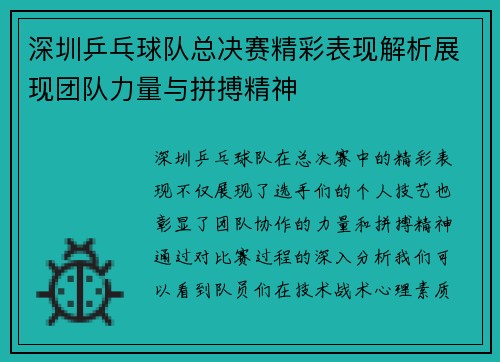 深圳乒乓球队总决赛精彩表现解析展现团队力量与拼搏精神