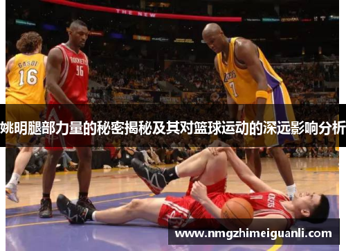 姚明腿部力量的秘密揭秘及其对篮球运动的深远影响分析