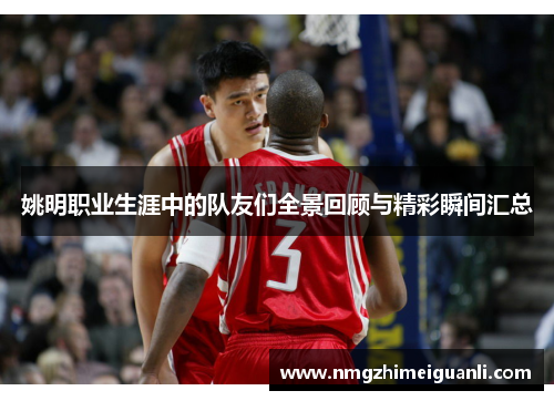 姚明职业生涯中的队友们全景回顾与精彩瞬间汇总