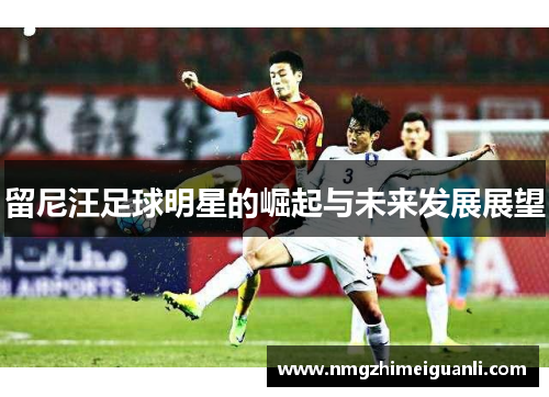 留尼汪足球明星的崛起与未来发展展望