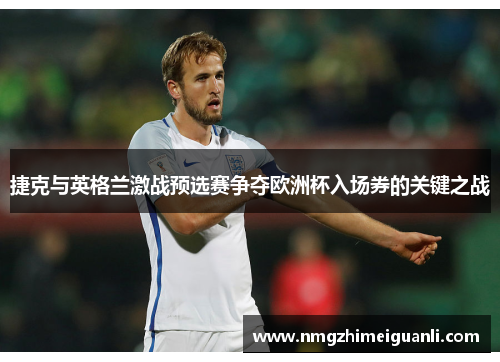 捷克与英格兰激战预选赛争夺欧洲杯入场券的关键之战