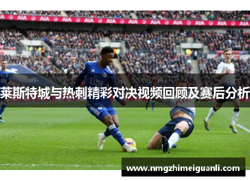 莱斯特城与热刺精彩对决视频回顾及赛后分析
